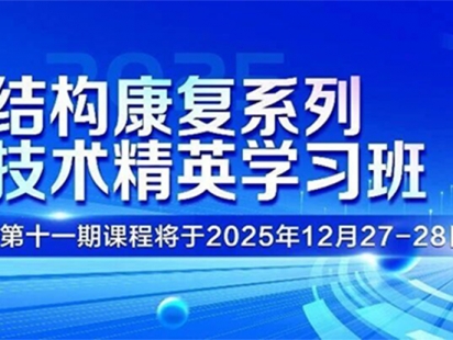 12月27−28日开课！结构康复系列技术精英学习班—学困康复的结构治疗策略